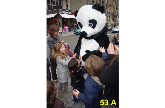 location Mascotte panda 53 A ile de france